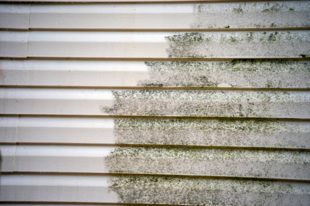 Best Wood Siding Installation  in Hazen, ND