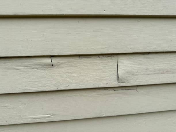 Affordable siding repair and maintenance services in Hazen, ND
